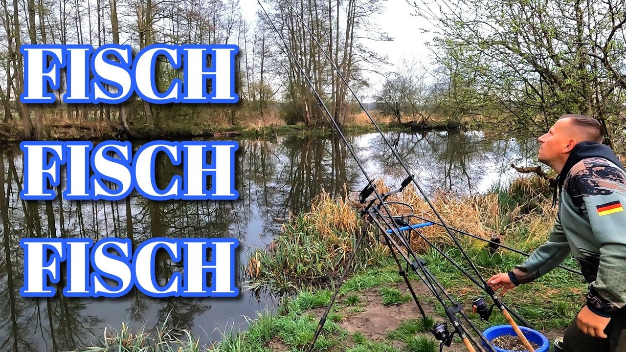 FISCH Satt am Fluss beim Feederangeln im April 2025. Angeln mit Mais läuft