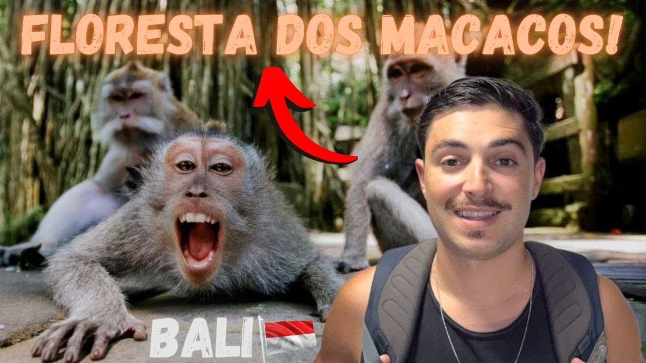 A Sagrada Floresta dos Macacos em Ubud, Bali - Uma Experiência Incrível!