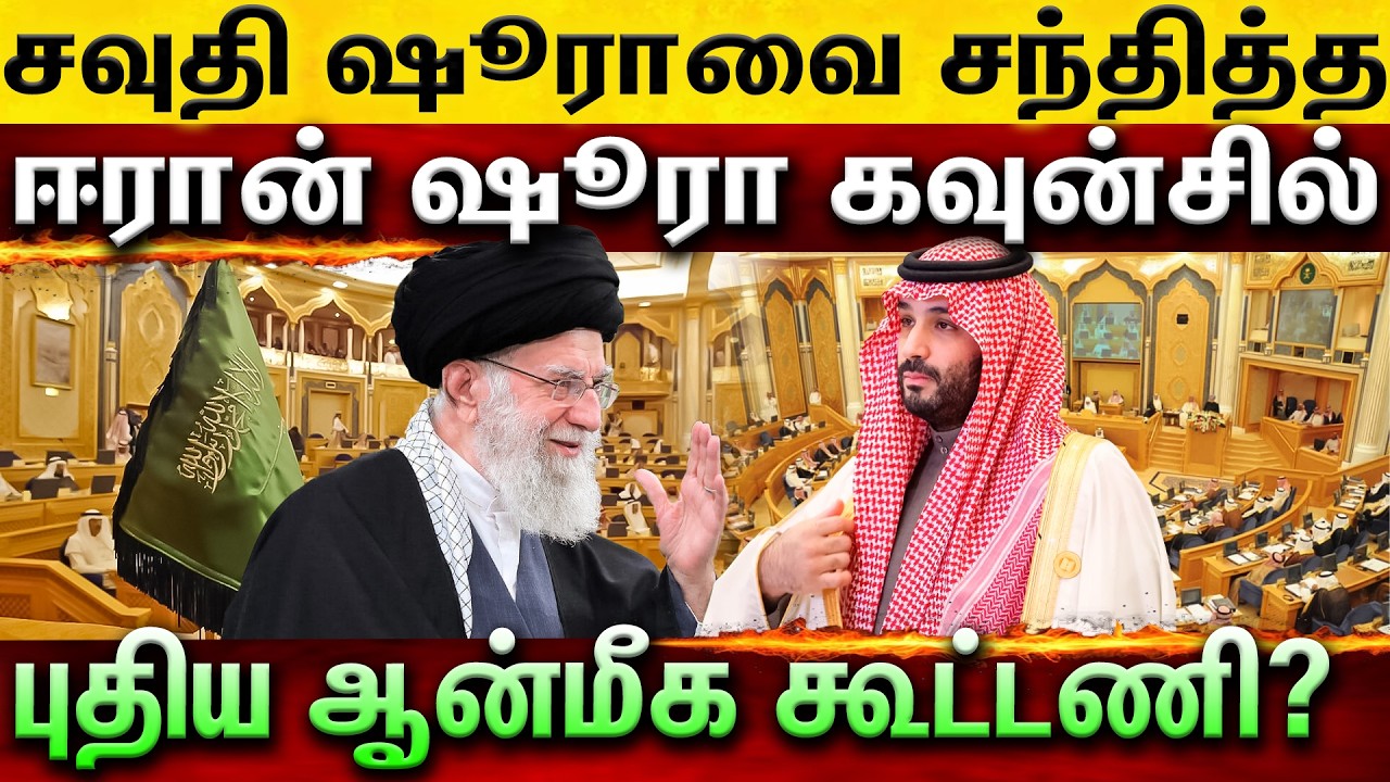 NEWS HIGHLIGHTS (17/02/26)