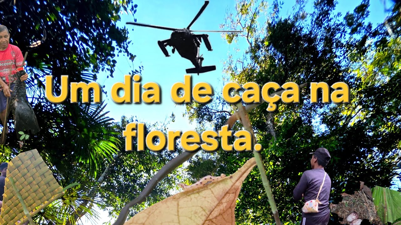 Vida na Aldeia: Dia de Caça e Movimentação na Floresta 🍃