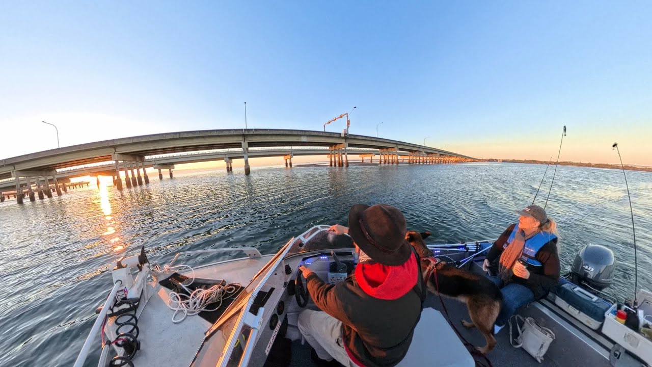 Moreton Bay Madness