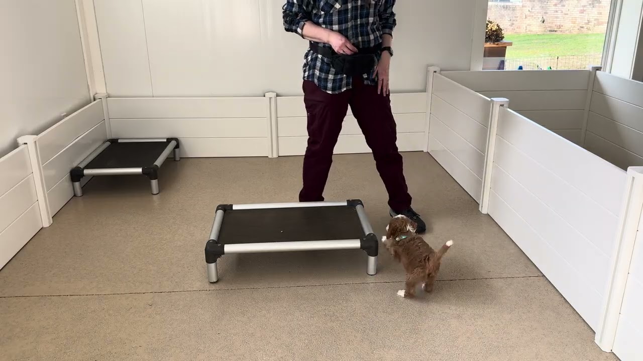 Cooper Training Session 02/19