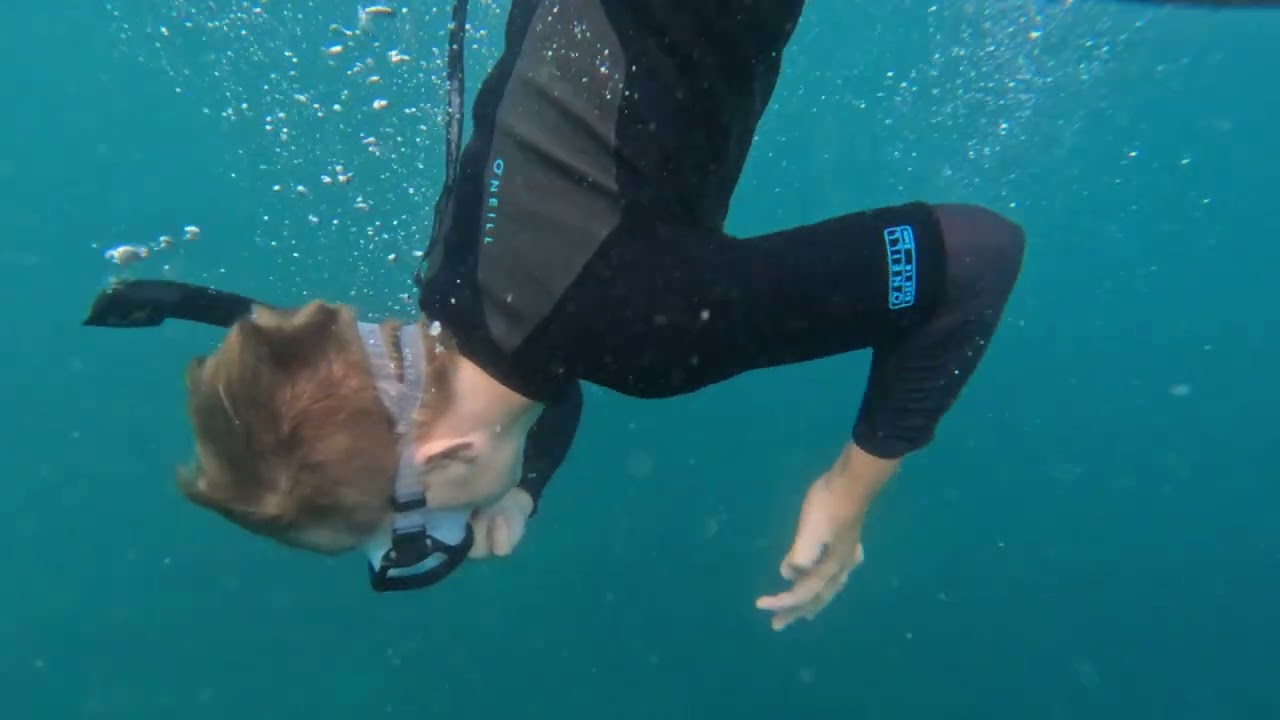 Snorkelling Fly Point - Port Stephens NSW Australia