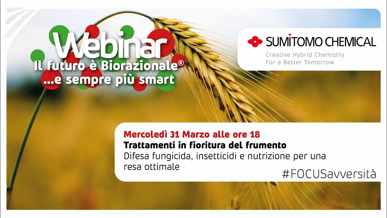 Trattamenti in fioritura del frumento - il futuro è Biorazionale®