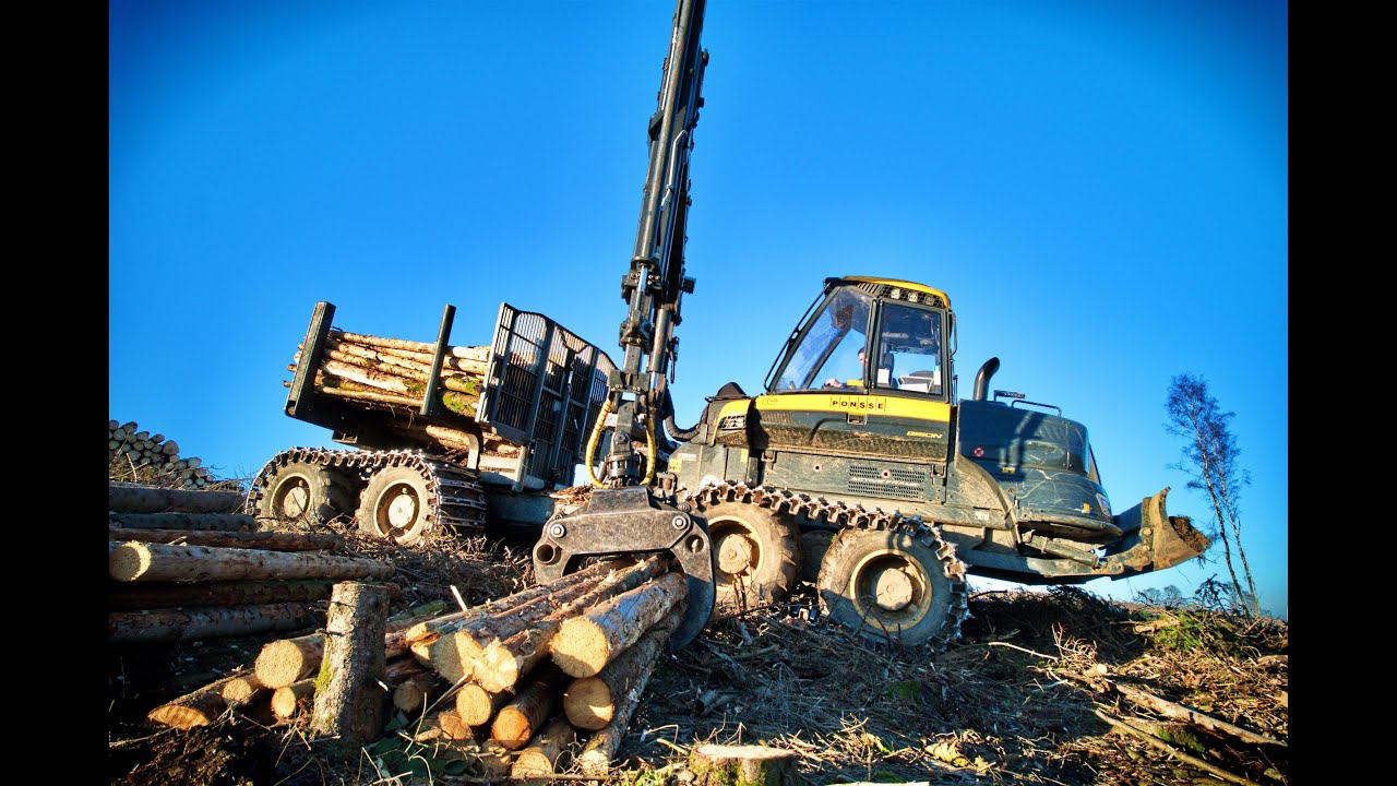 🌲 Ponsse Bison • Forwarder in Action • Forstarbeiten • Rückezug im Einsatz • Kurzholz • Slope deep🌲