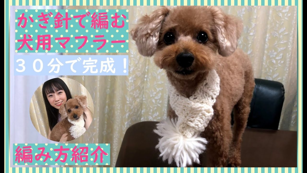 かぎ針で編む 犬用 マフラー 手編み 犬小物 トイプードル 愛犬家