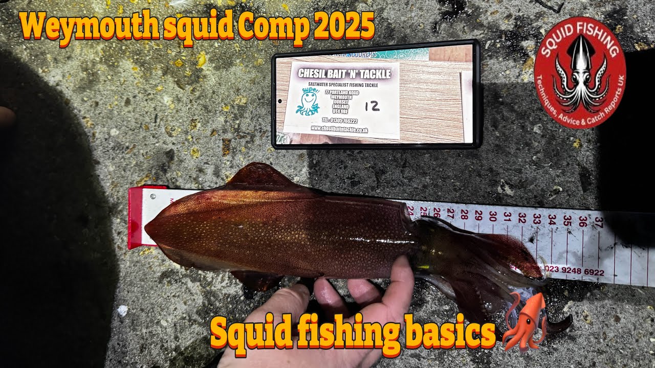Squid Fishing Basics at the 2025 Weymouth Squid comp 🦑