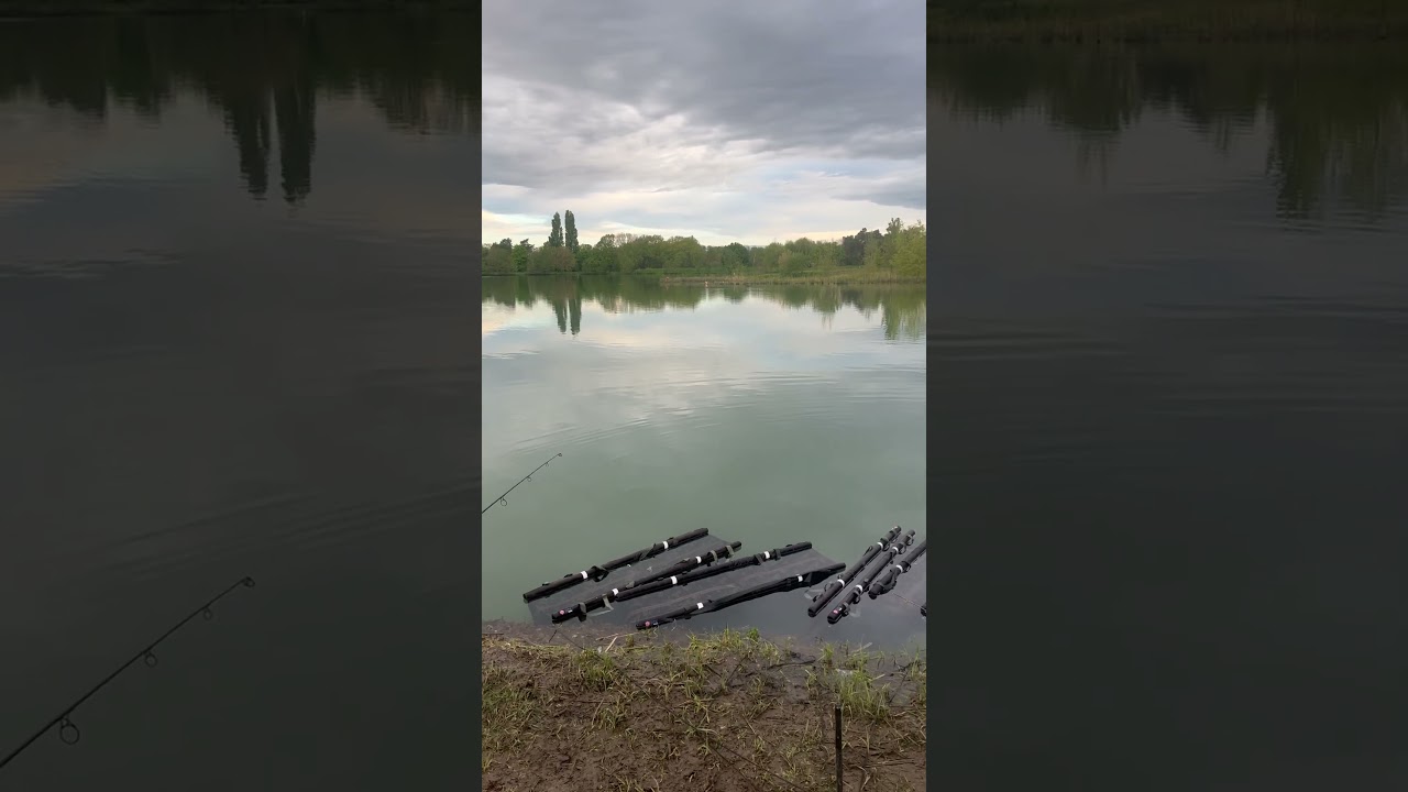 Carpe capture en enduro😉#carpes #carpfishing #lcatackle #billemaison #shortsvideo #shorts