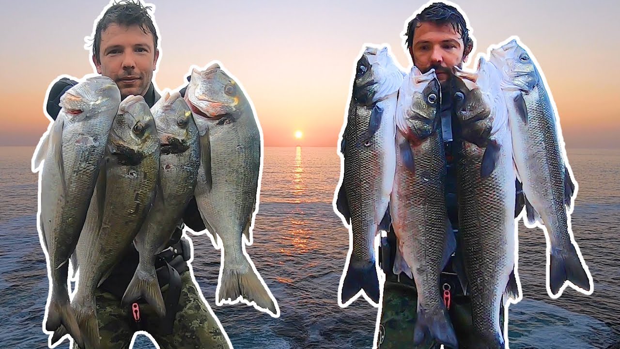 Pesca Submarina: Robalos e Douradas - Primavera 2021 // Spearfishing Sea Bass & Bream - Spring 2021