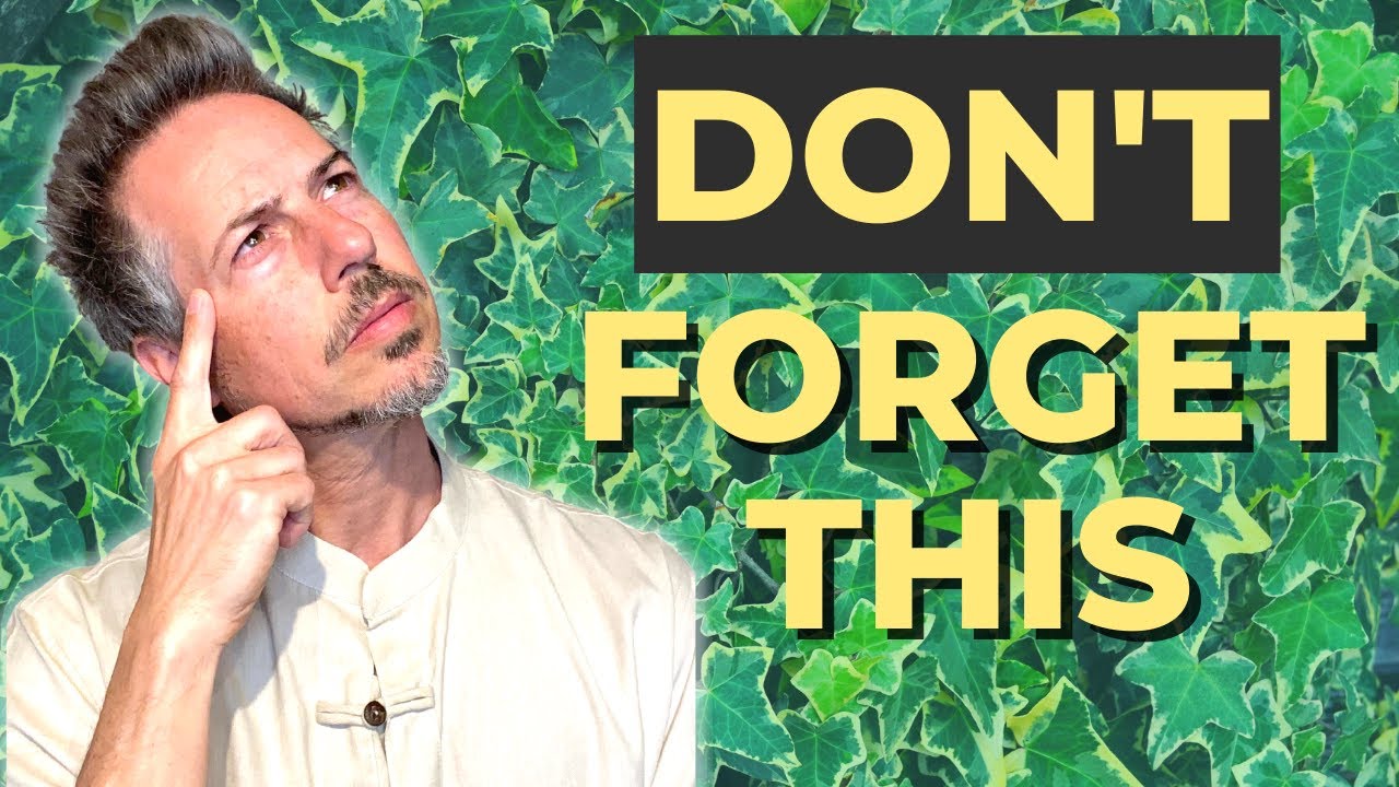 Tai Chi and Qigong for Beginners. The MOST IMPORTANT principle for your practice and your life.