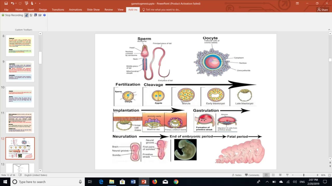 Introduction to embryology by Dr khaled shoghy