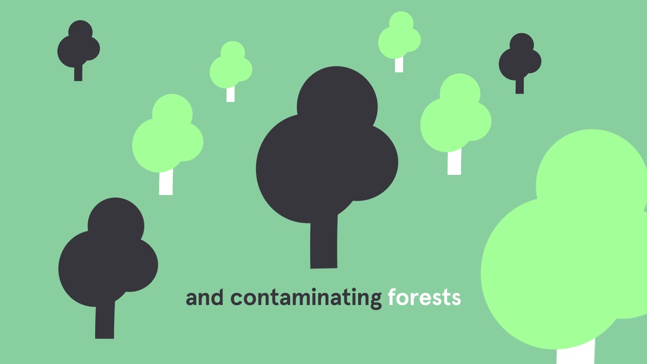 Vertisol - We care about the planet