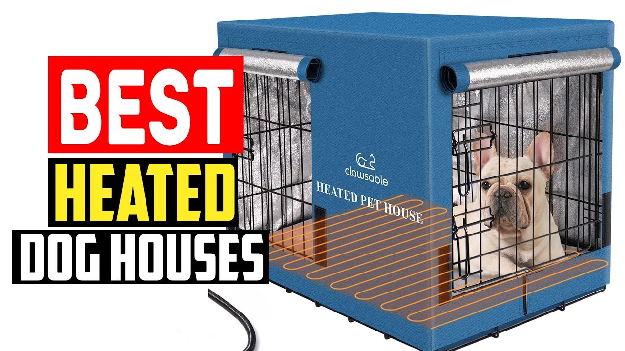 ✅Top 5 Best Heated Dog Houses of 2025
