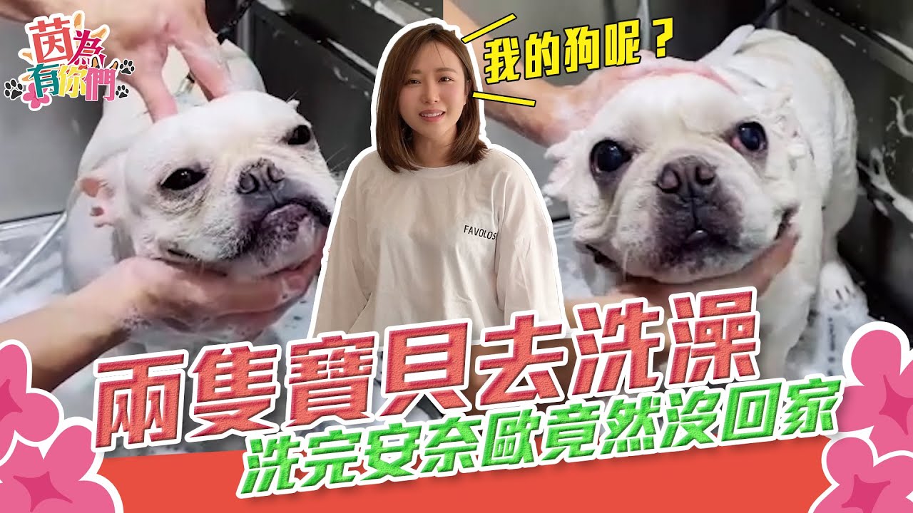 兩隻寶貝去洗澡 洗完安奈歐竟然沒回家｜Alina鄭茵聲