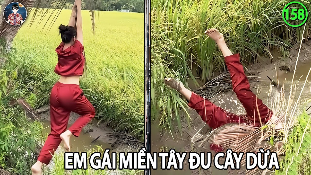 Ừ Thì Xem 158 : Em gái miền tây đu cây dừa| Cười Nắc Nẻ
