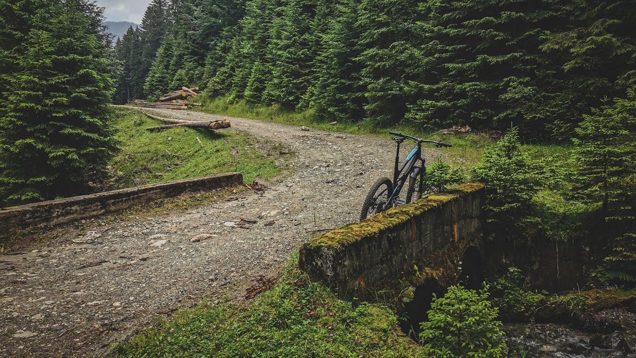 Solo mountain biking in the Bucegi Mountains