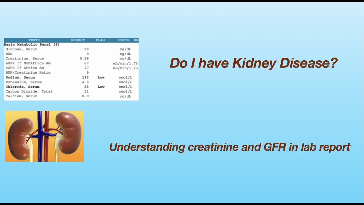 How can You tell if you have kidney disease? Understanding creatinine and eGFR in the lab report