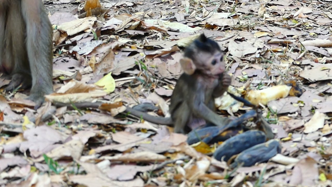 Grandma take baby from Mom ,