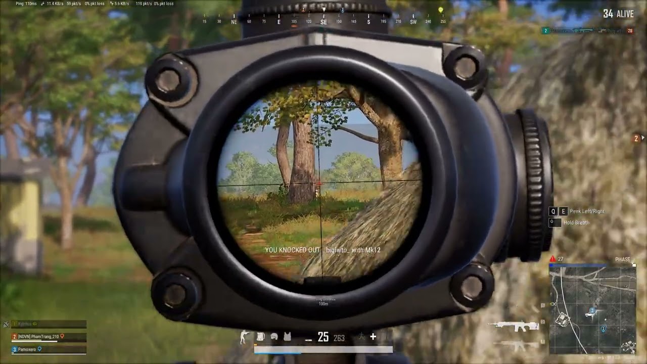 Clean QUICK SCOPE 😮 PUBG PC