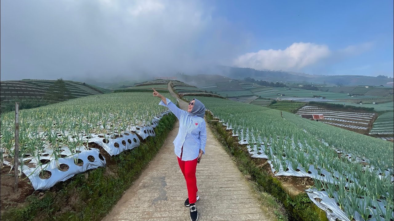 WISATA NEGERI SAYUR!! #Magelang #desasukomakmur