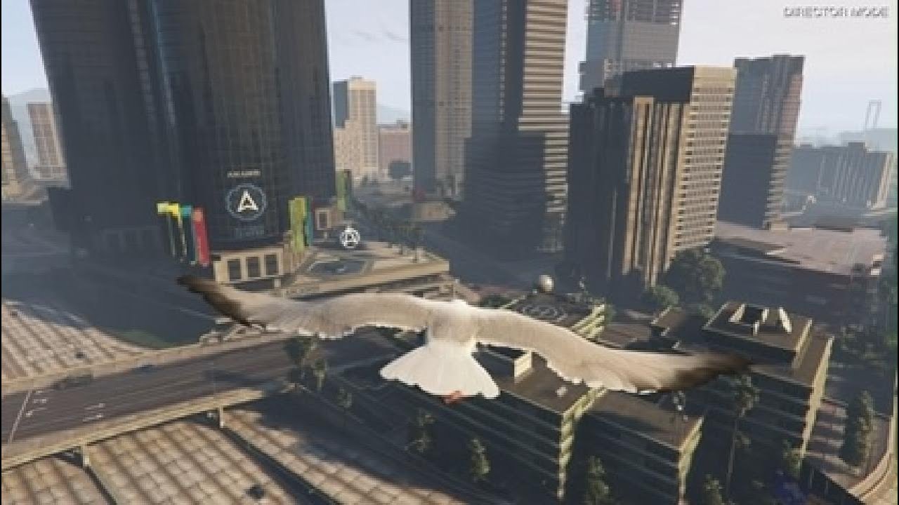 GTAV 5 SEAGULL RELAXATION ASMR FUN