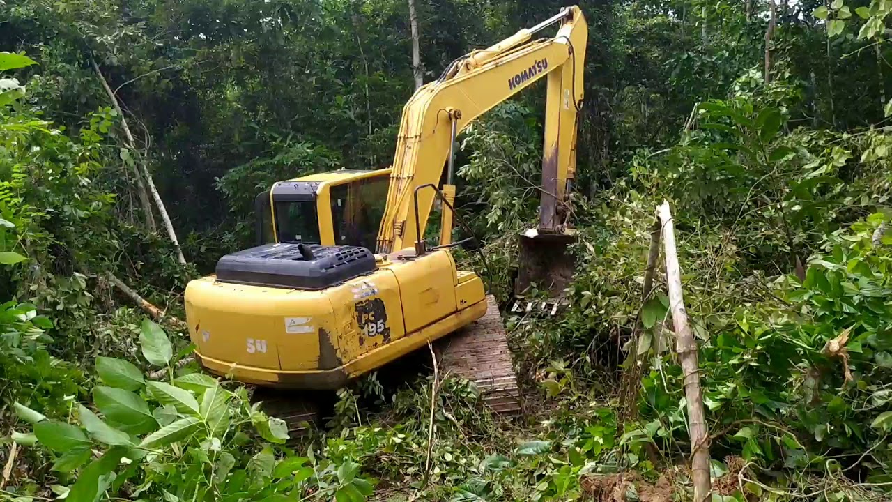 TRABAS HUTAN BELANTARA MENGGUNAKAN EXCAVATOR KOMATSU
