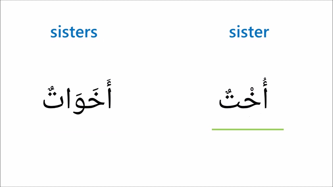Arabic Vocabulary: Family Members | Singular & Plural Form