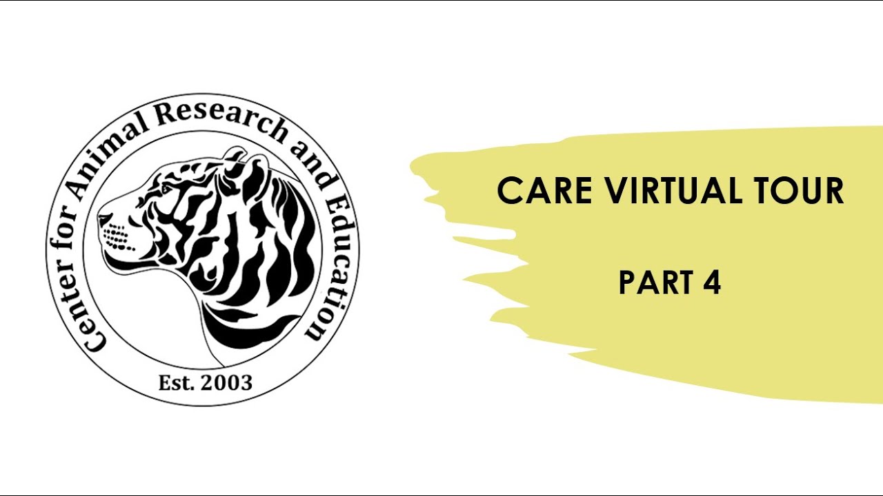CARE Virtual Tour Part 4: Max & Mia, The Babies, and Munchie