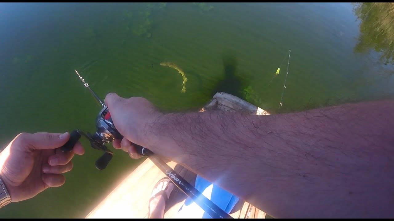 Pike and Bass fishing in crystal clear water on Kleinsee AUSTRIA