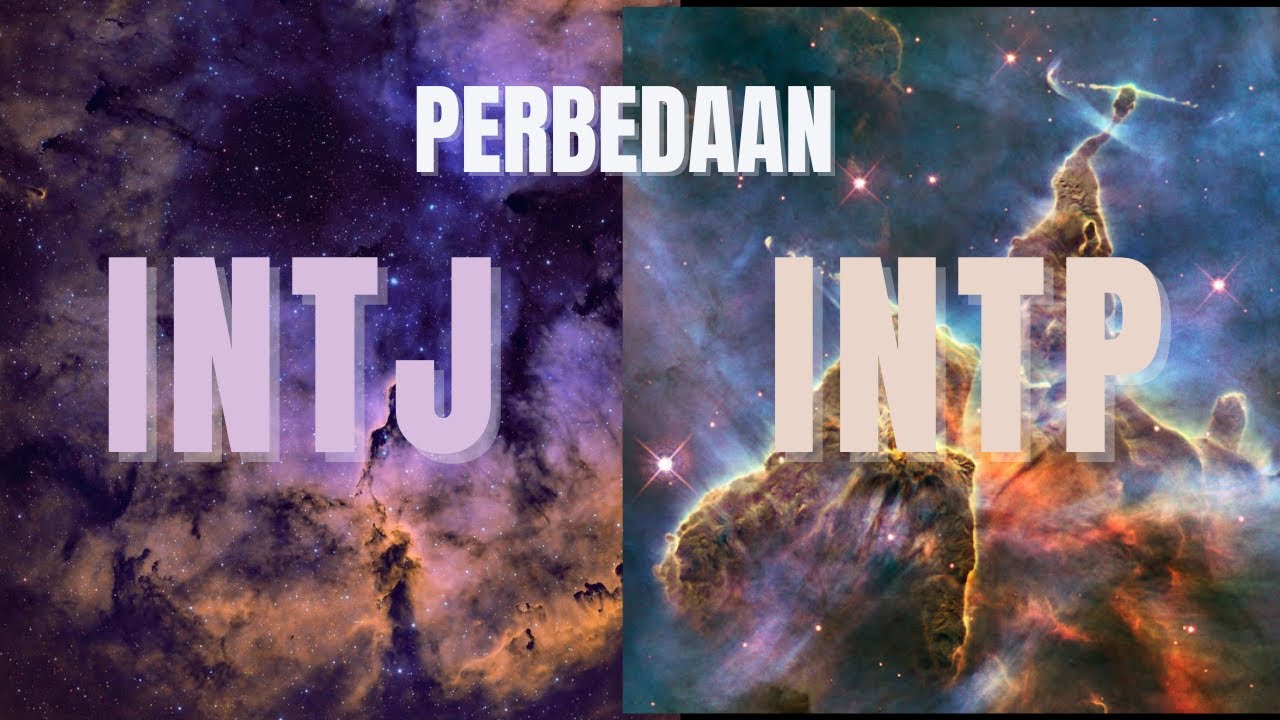 Perbedaan antara INTJ dan INTP
