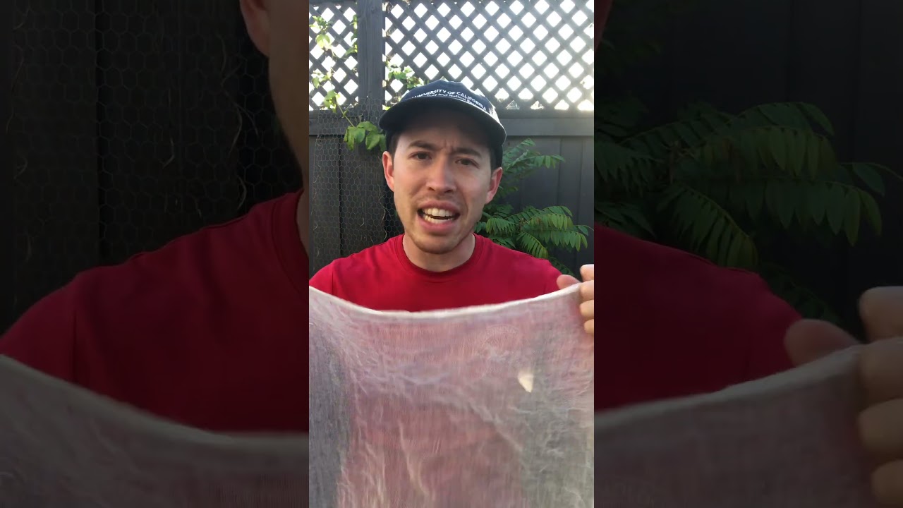 Leafcutter Bees: Friend or Foe?