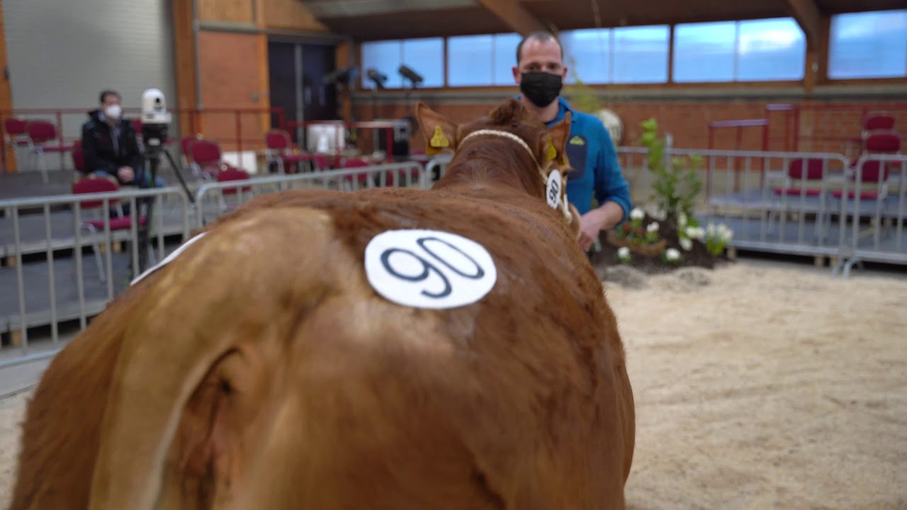 JUNGRINDER LIMOUSIN