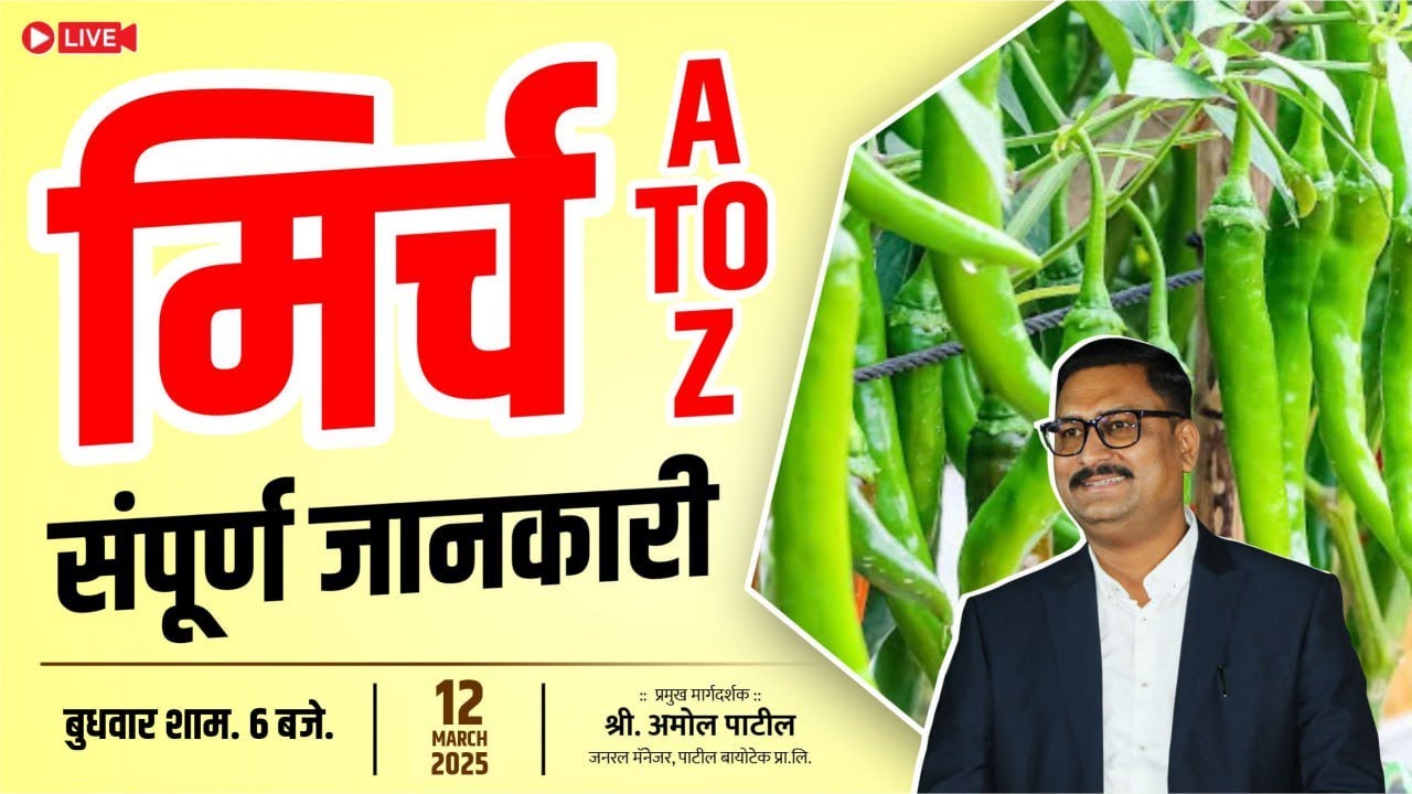मिर्च A to Z सपूर्ण जानकारी  Mirch A to Z Sampurn Jankari