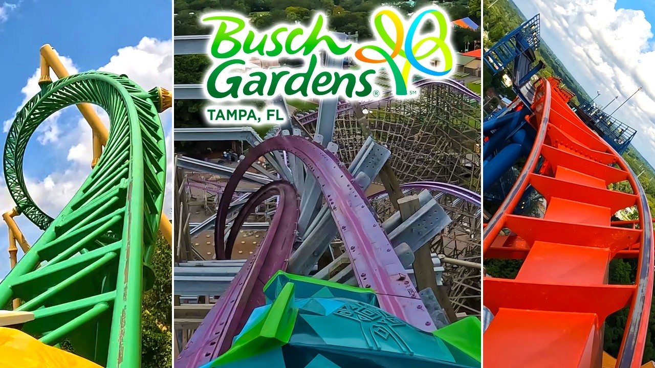 EVERY Roller Coaster at Busch Gardens Tampa | Front Row POVs 4K