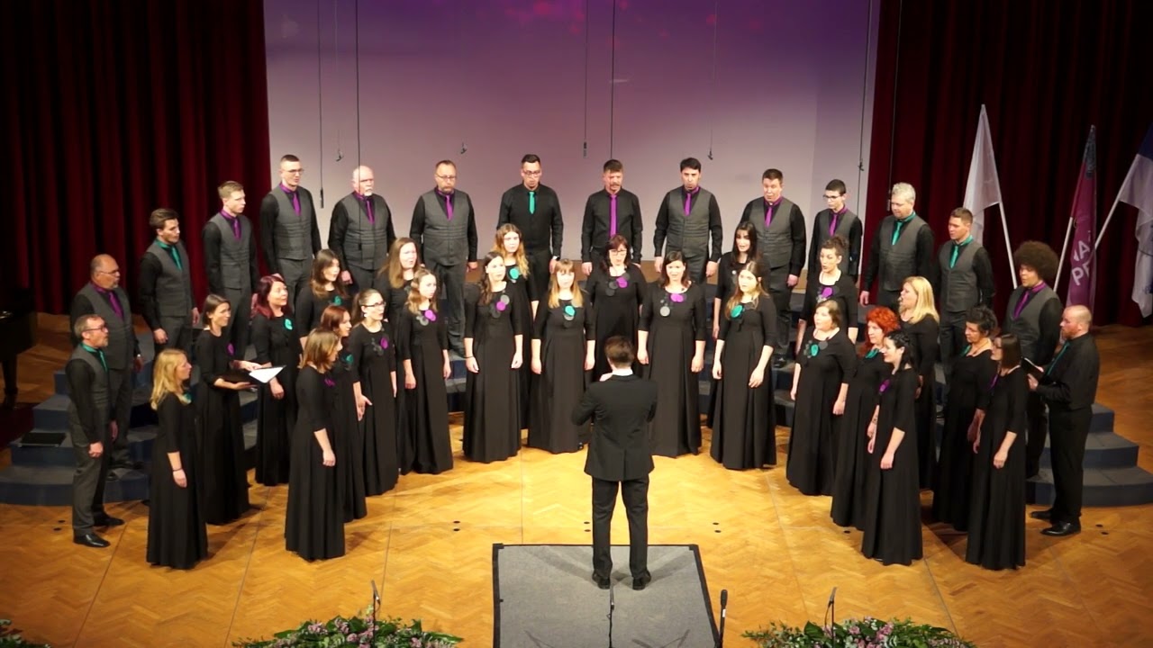 Naša pesem 2024 – MEŠANI PEVSKI ZBOR VIVA BREŽICE – DELIVER ME, O LORD