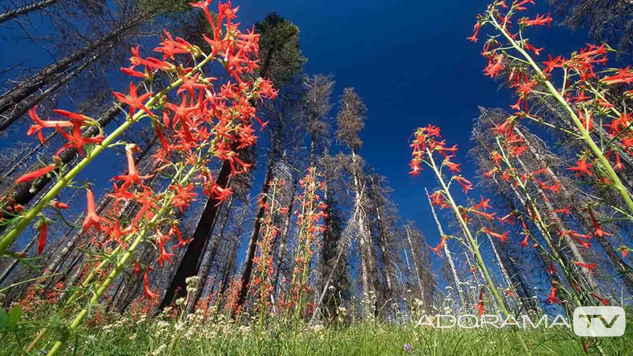 Using your Super Wide Angle Lens: You Keep Shooting with Bryan Peterson