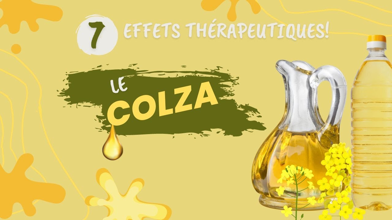 L'huile de COLZA, je vous livre 7 effets thérapeutiques intéressants