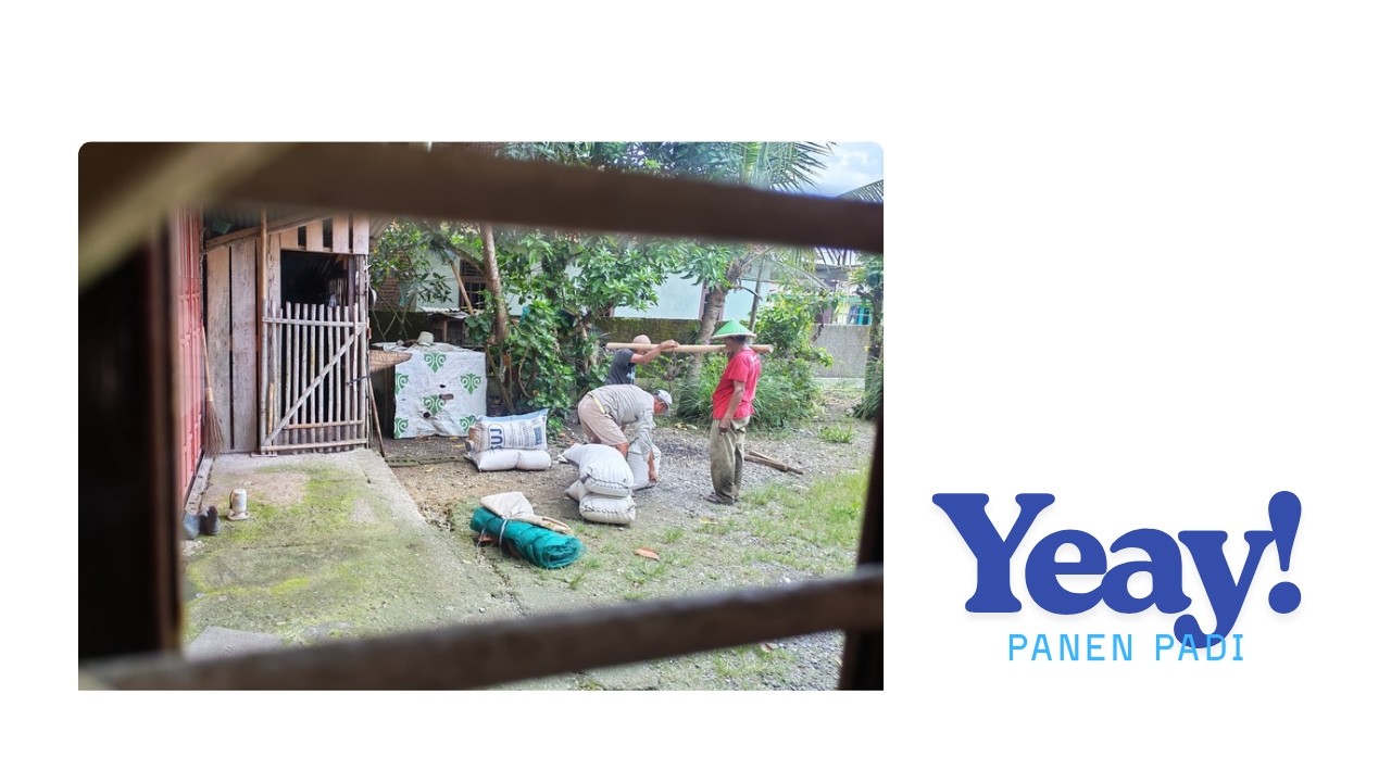 panen padi Part 1