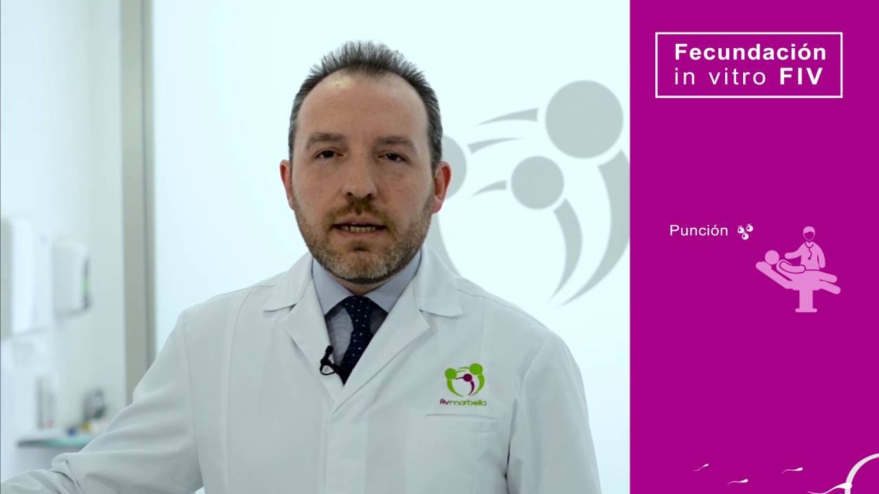 FIV (Fecundaci&oacute;n in Vitro) - FIV Marbella