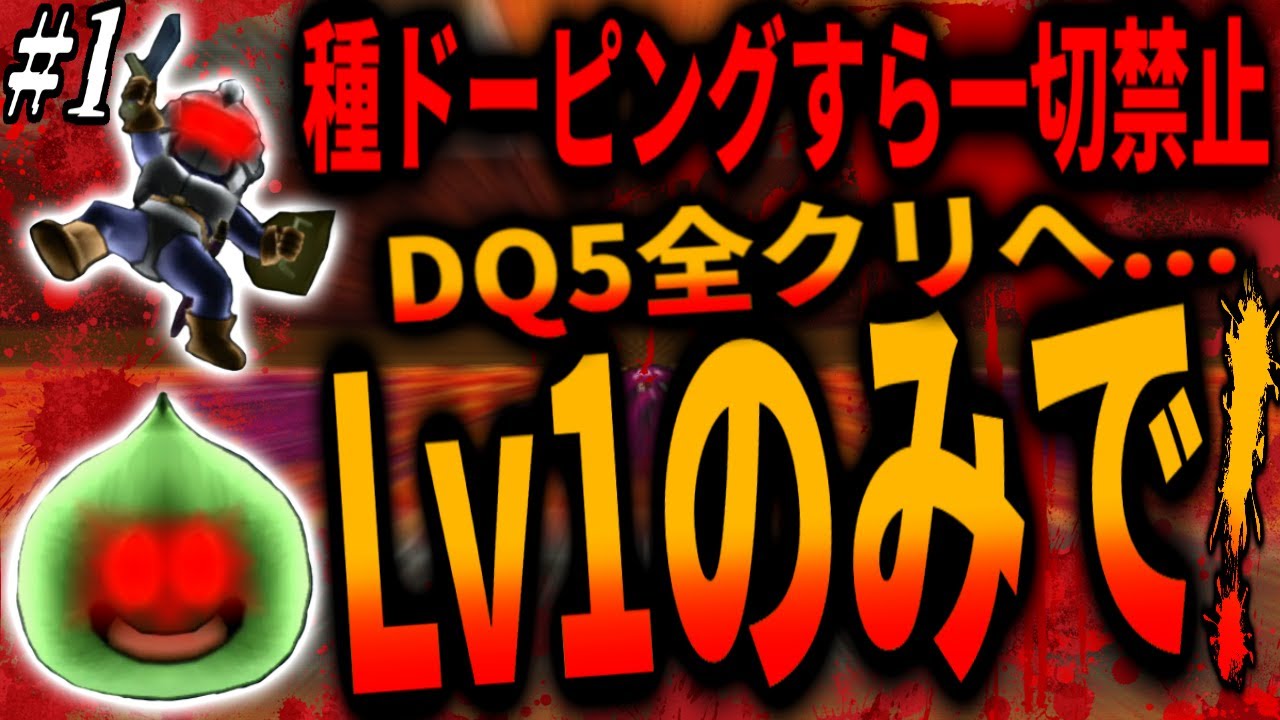 【DQ5】RPGの常識を覆す！ドーピング一切禁止でLv1のキャラだけでDQ5全クリへ！1章・ドラクエ5/Beating DQ5 with only Lv1 characters!