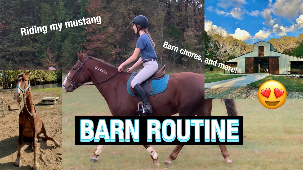 Barn Routine | Riding+Feeding all the Animals!