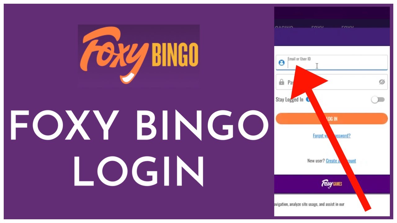 Foxy Bingo Login: How to Log in Foxy Bingo Account (2023) | www.foxybingo.com