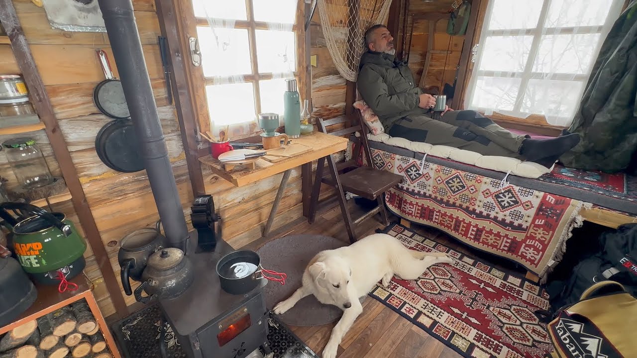 Попали в сильный снегопад и снежную бурю – 5 дней в крошечном домике с моей собакой – Часть 2