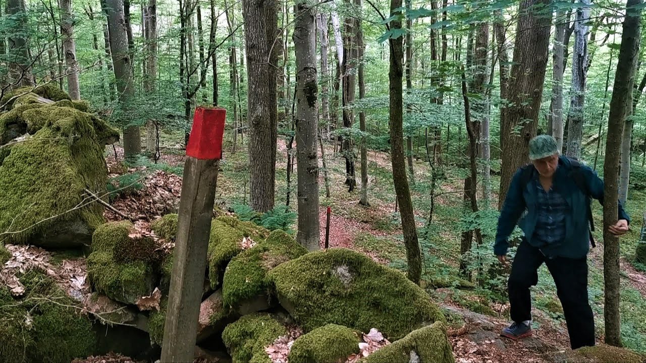 På vandring i naturreservat Göddered Hakered, Göteborgs kommun