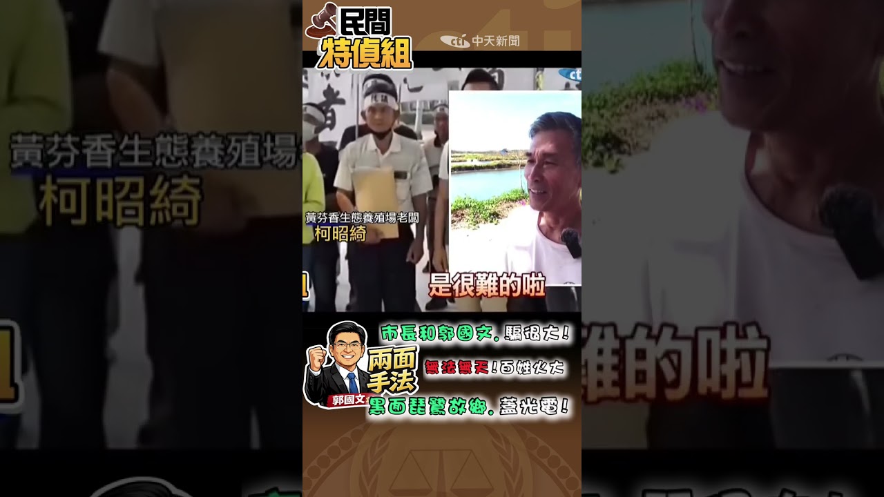 七股光電重災區！綠委稱擋光電的兩面手法【#民間特偵組 235-3】#SHORTS #民間特偵組 #七股光電 #陳昆和 #黑面琵鷺 #郭國文 #黃偉哲