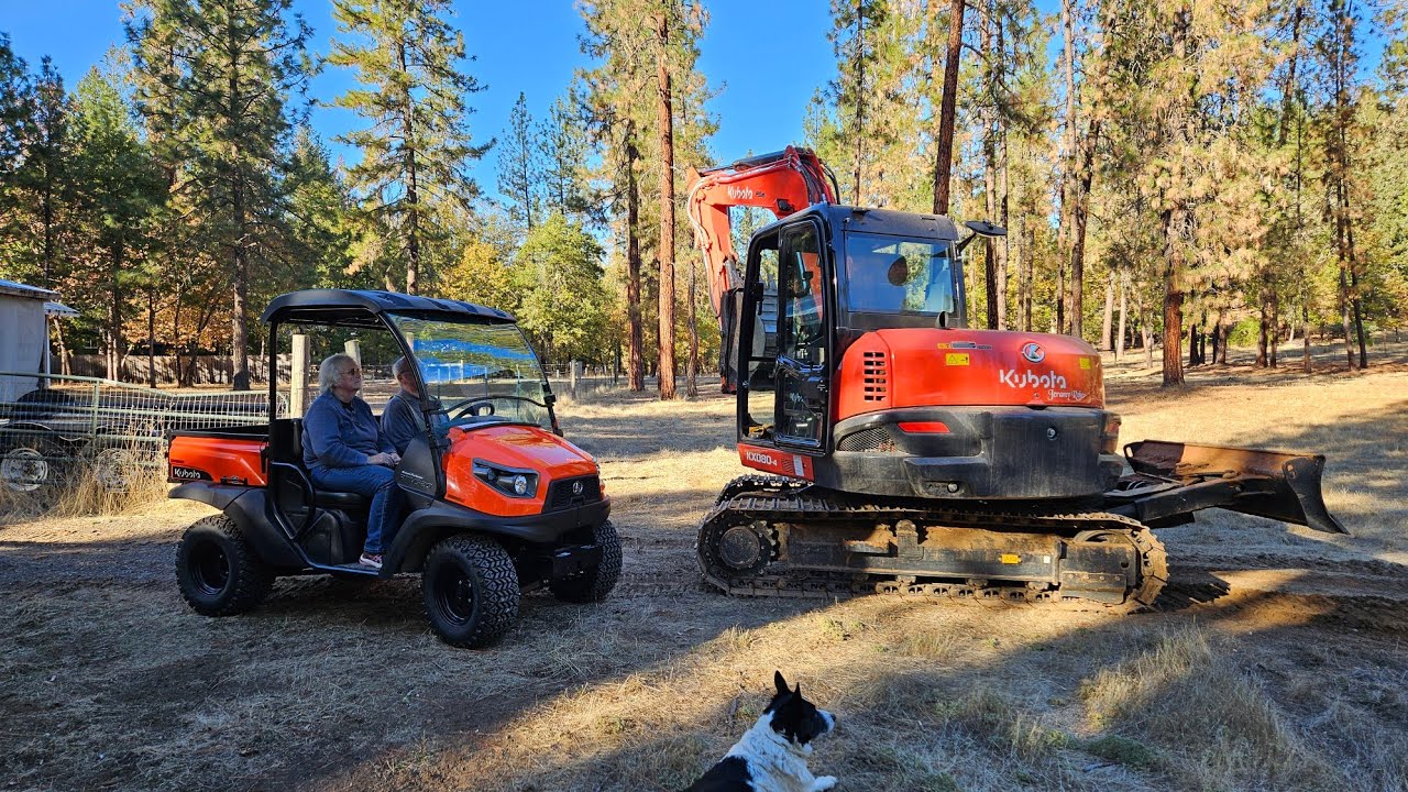 Removing trip hazard stumps for dad with the Kubota KX 080 4