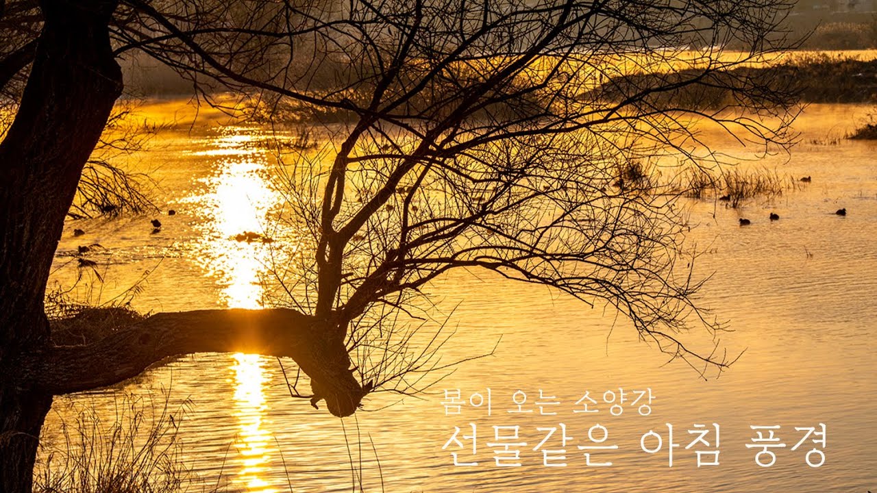 힐링여행 | 봄이 오는 길목 춘천 소양강 선물같은 아침 풍경