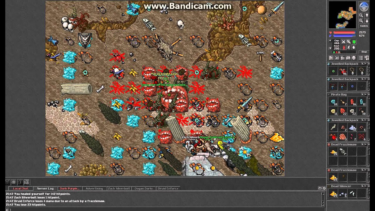 tibia roshamuul 4 vocation hunt ( huge exp huge profit )