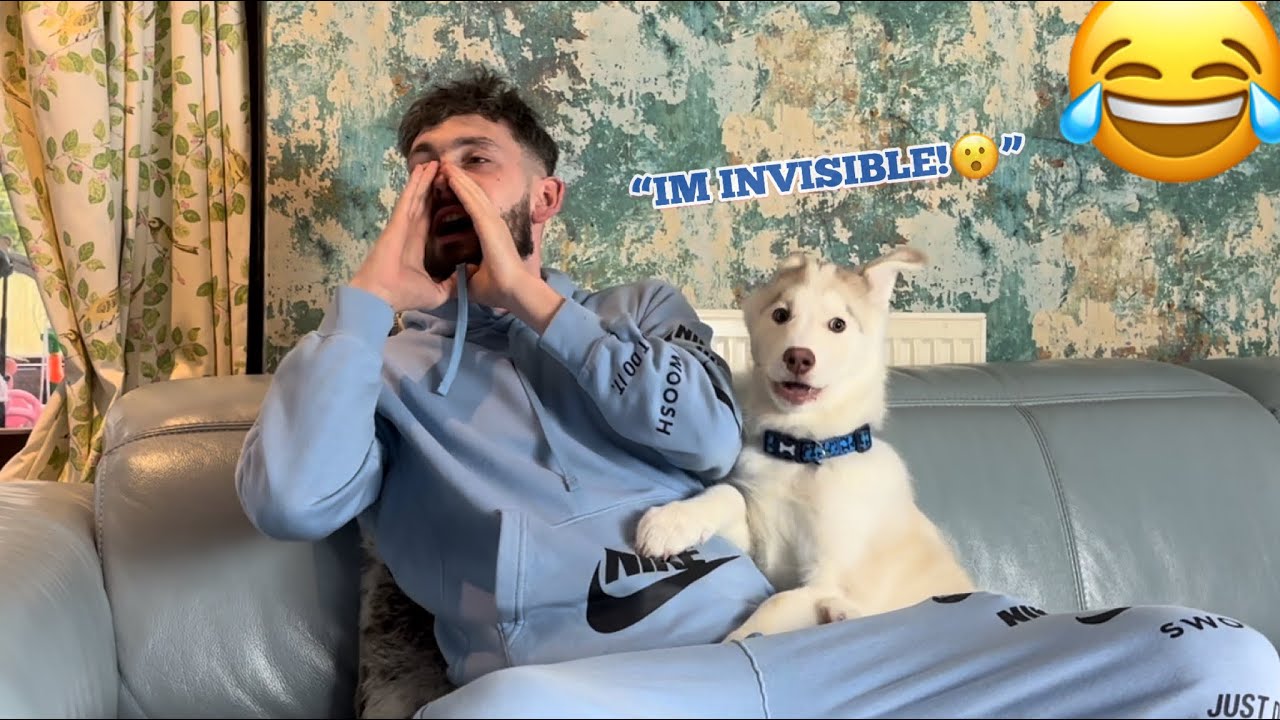 Pretending My Husky Puppy Is INVISIBLE!😂. [FUNNIEST REACTION EVER!]