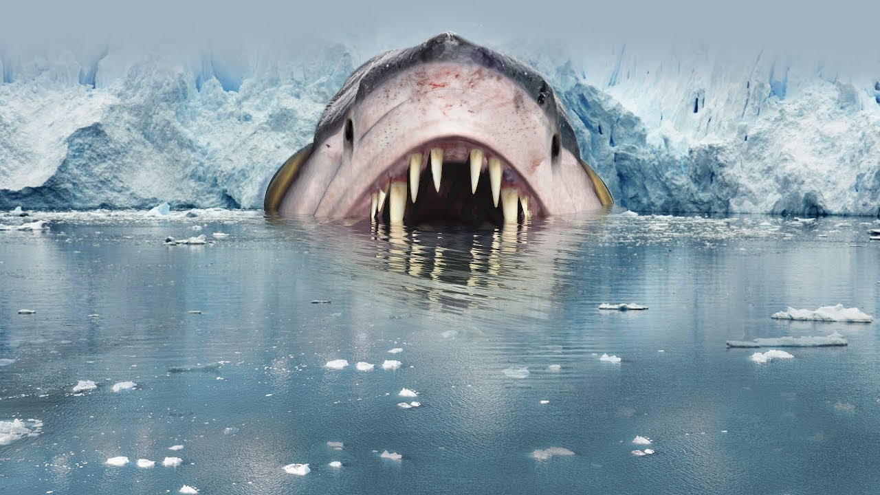 SOCANT! Ceva CIUDAT Se INTAMPLA Chiar ACUM In ALASKA! Stiri Azi